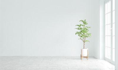 定制木門勢(shì)不可擋 個(gè)性定制漸成潮流